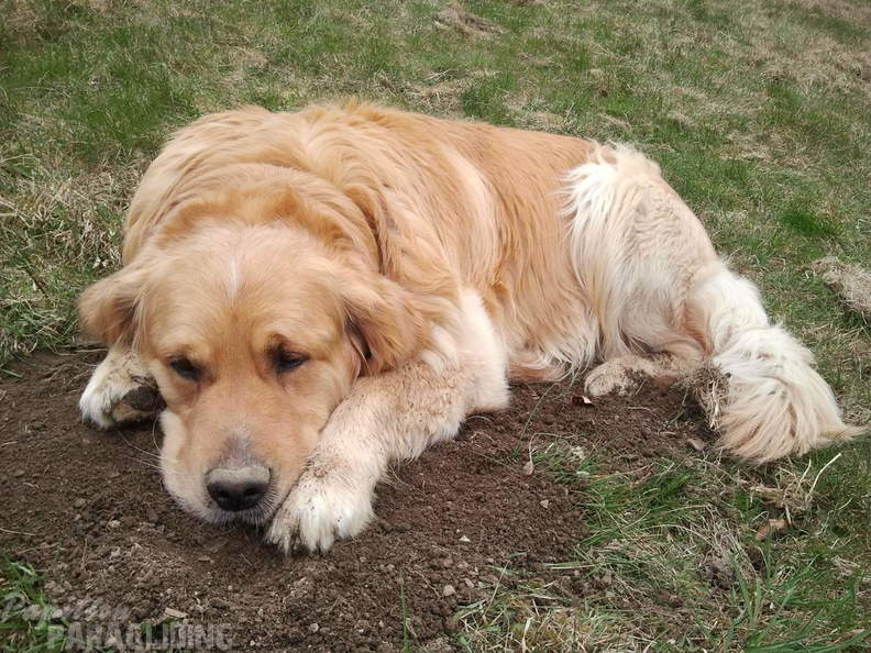 2012 ES16.12 Paragliding 016