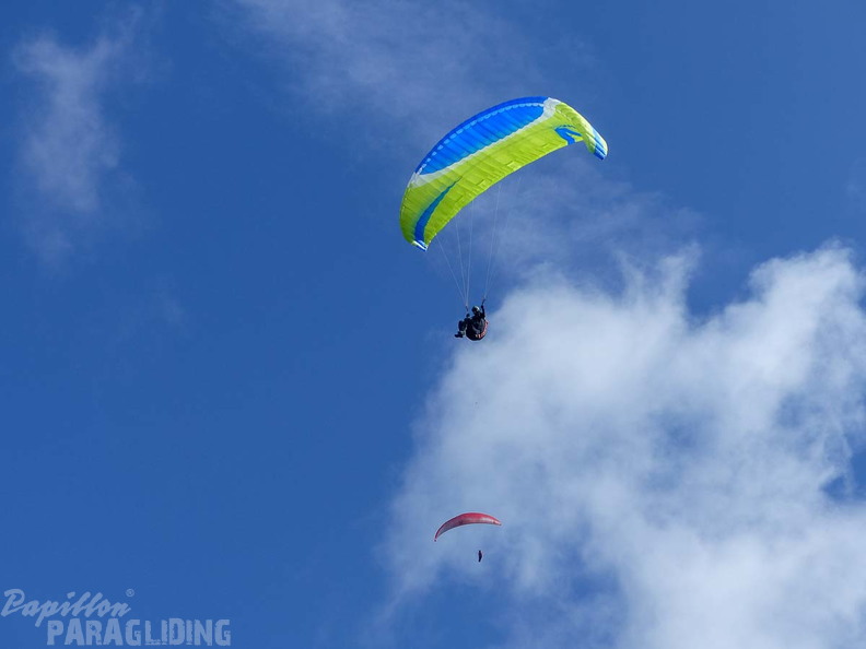 AS26.18 Performance-Stubai-128