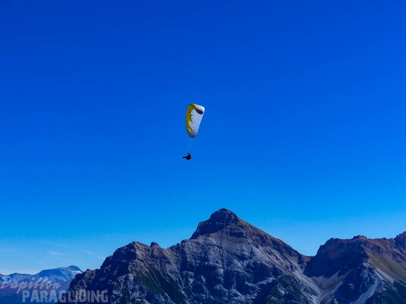AS37.18 Performance-Stubai-144