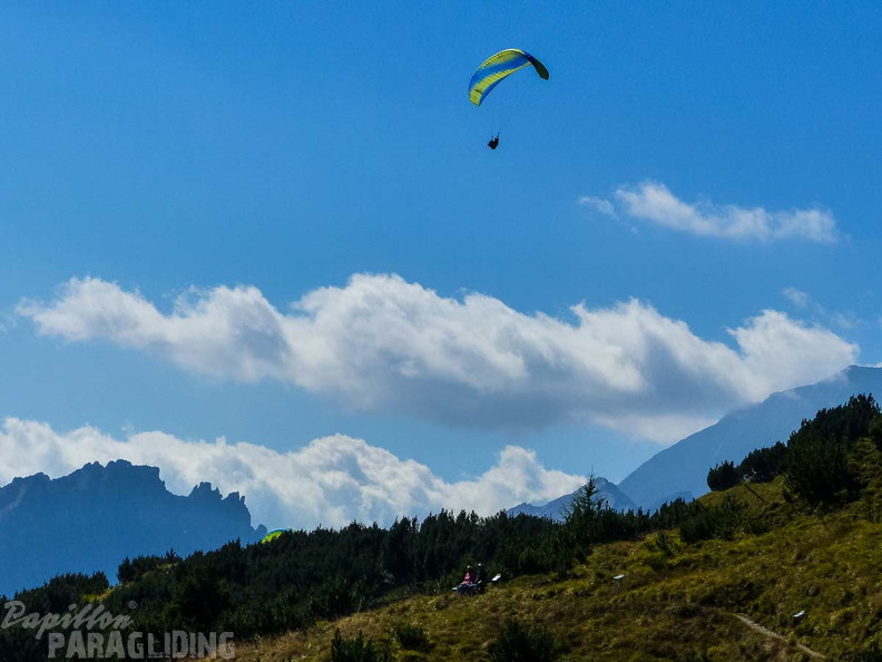 AS37.18 Performance-Stubai-153