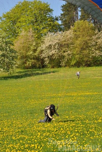 2011 RFB SPIELBERG Paragliding 104