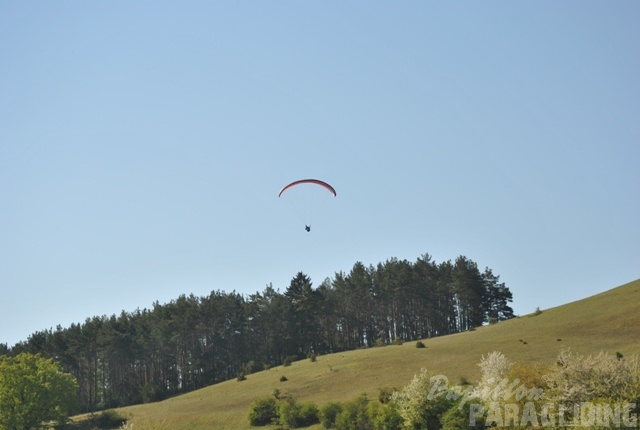 2011 RFB SPIELBERG Paragliding 125