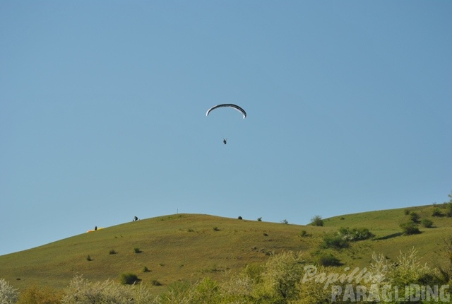 2011 RFB SPIELBERG Paragliding 139