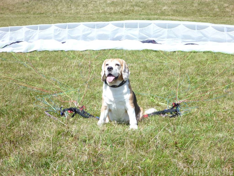 2011 RS36.11 Paragliding Wasserkuppe 047