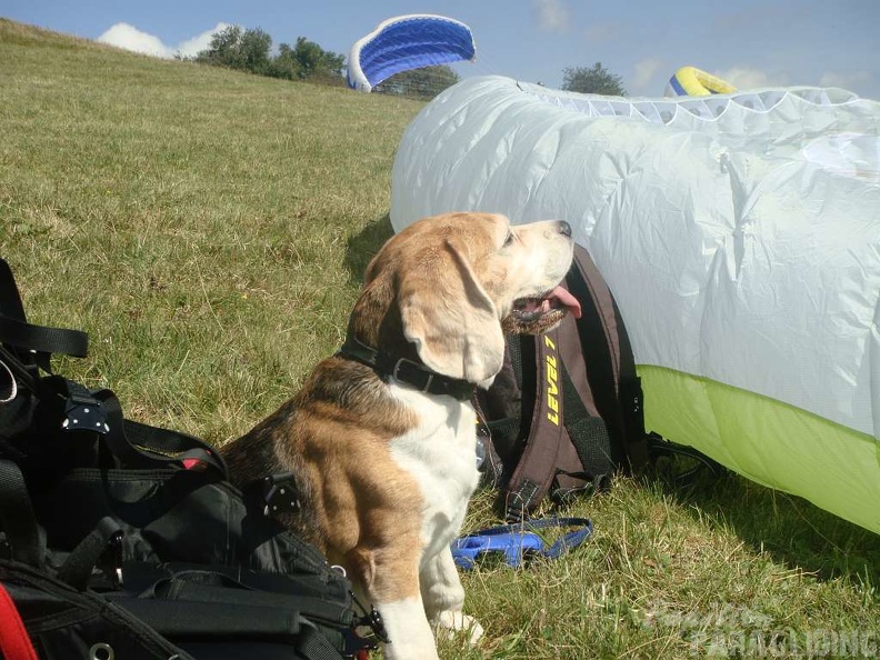 2011 RS36.11 Paragliding Wasserkuppe 088