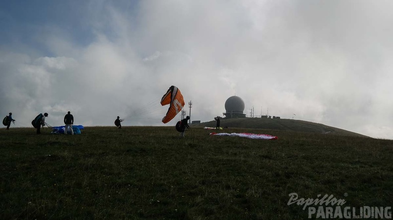 RZ32.17 Rueckwaertsstarttraining-121