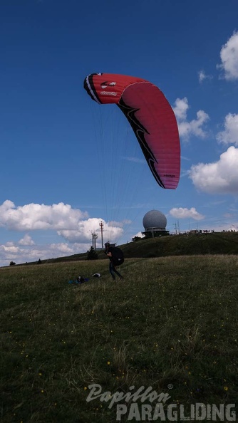 RZ32.17 Rueckwaertsstarttraining-131