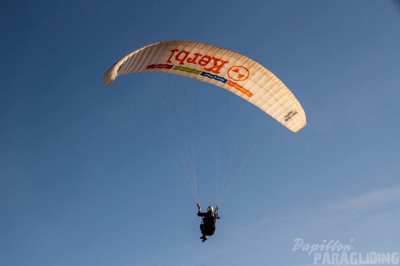 RS15.18 Suedhang Paragliding-Wasserkuppe-541