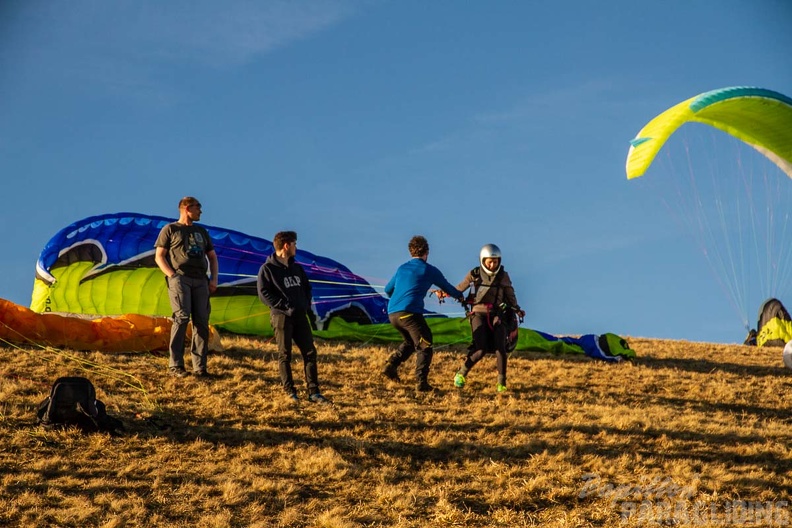 RS15.18 Suedhang Paragliding-Wasserkuppe-761