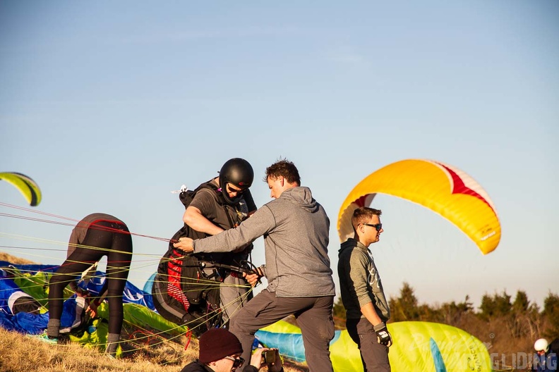 RS15.18 Suedhang Paragliding-Wasserkuppe-829