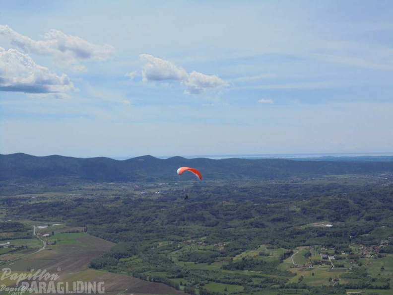 Slo Flugsafari Moni 216