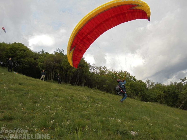 Slo Flugsafari Moni 256