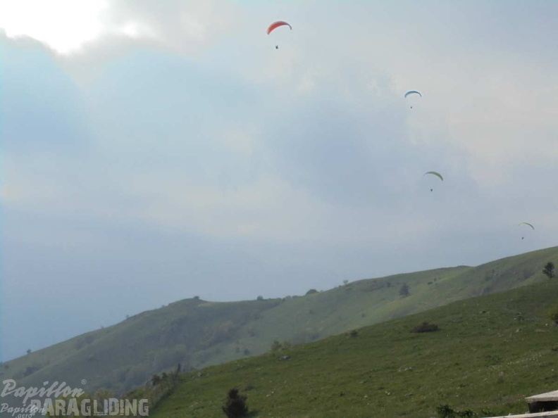 Slo Flugsafari Moni 060