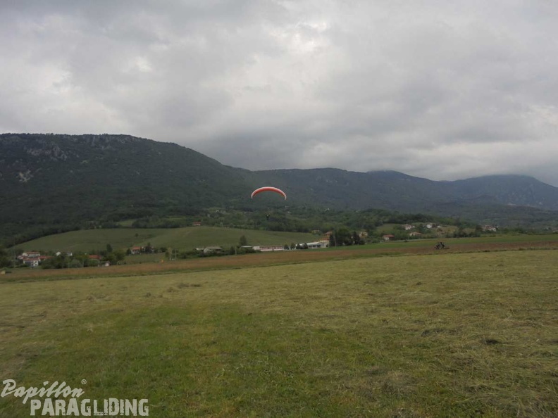 Slo Flugsafari Moni 096