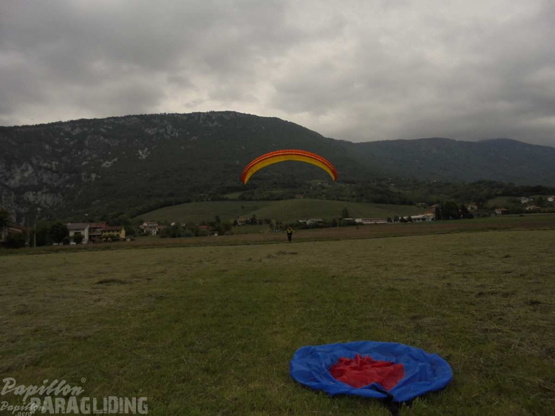 Slo Flugsafari Moni 101