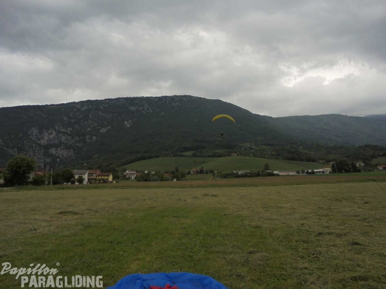 Slo Flugsafari Moni 104
