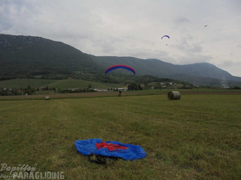 Slo Flugsafari Moni 105