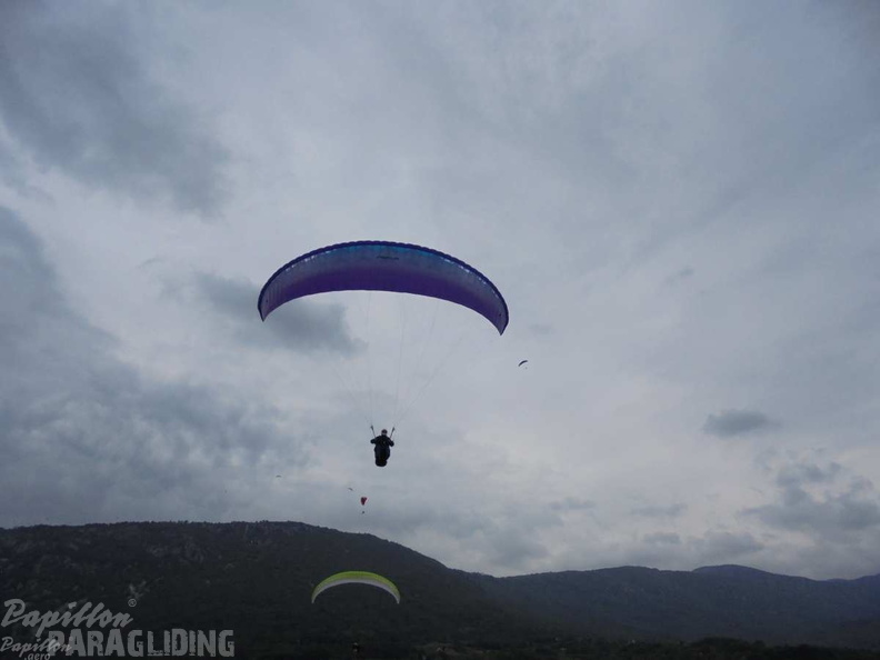 Slo Flugsafari Moni 106