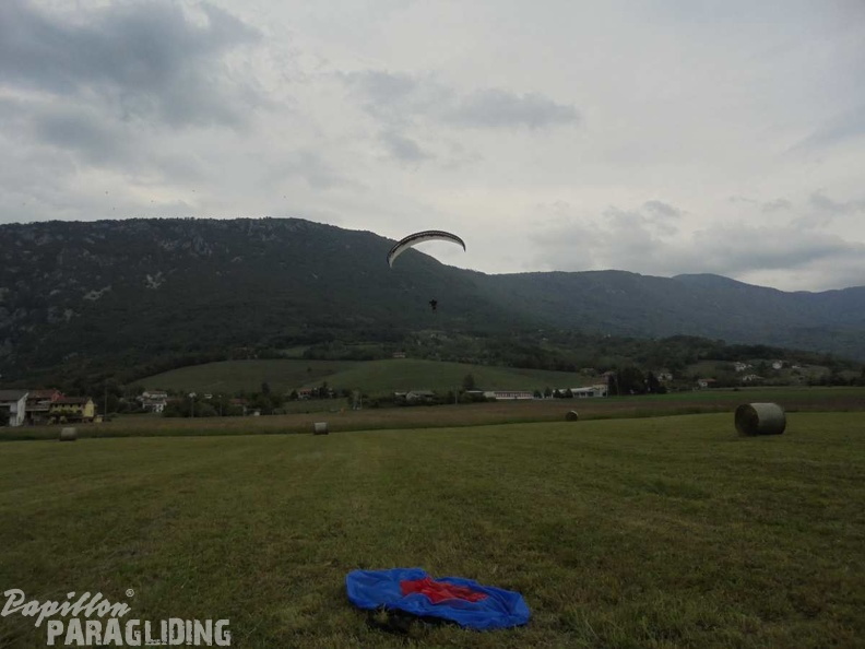 Slo Flugsafari Moni 115