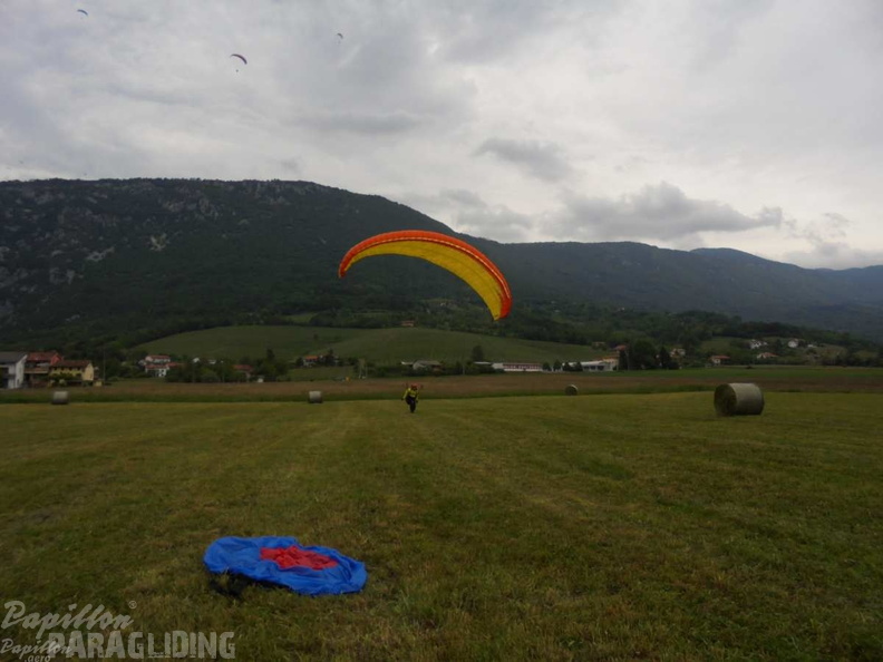 Slo Flugsafari Moni 118
