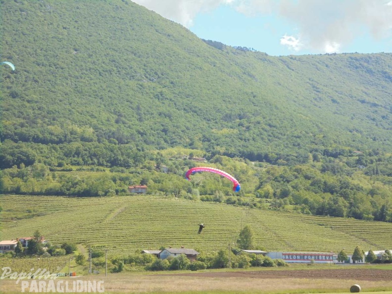 Slo Flugsafari Moni 141