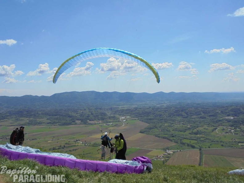 Slo Flugsafari Moni 158