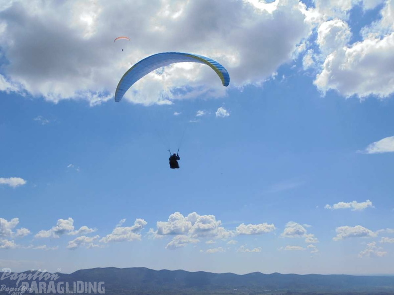 Slo Flugsafari Moni 159