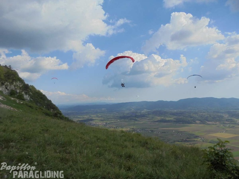 Slo Flugsafari Moni 167