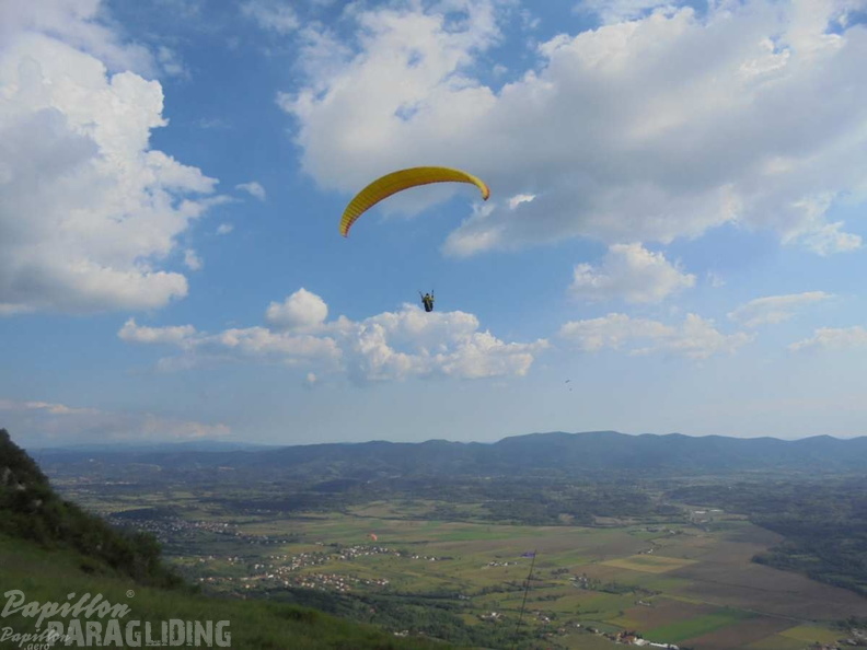 Slo Flugsafari Moni 169