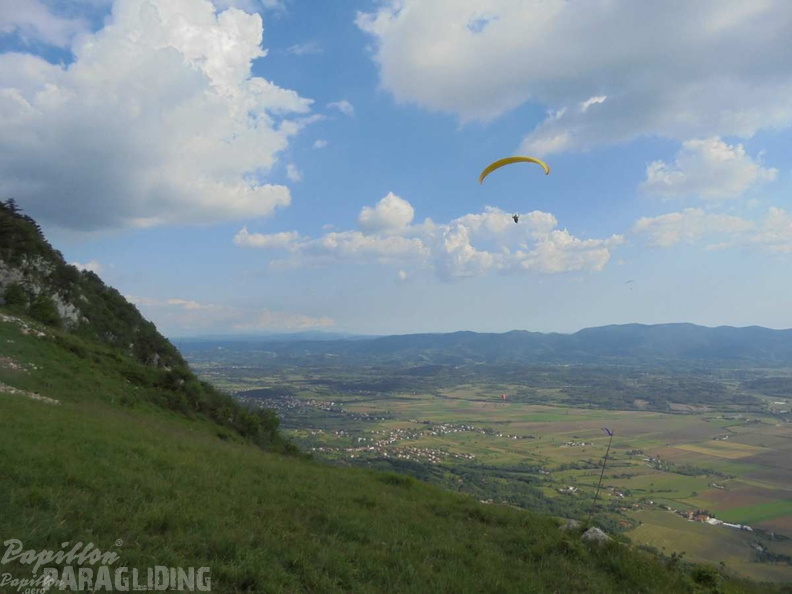 Slo Flugsafari Moni 170