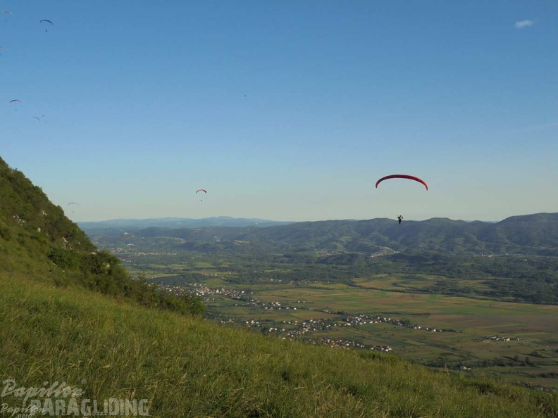 Slo Flugsafari Moni 207