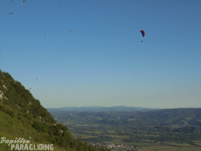 Slo Flugsafari Moni 208