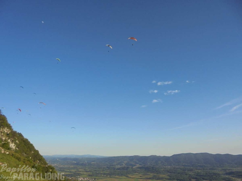 Slo Flugsafari Moni 209
