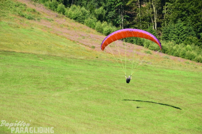 Sauerland 112