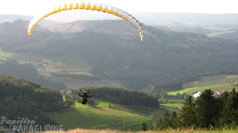 Sauerland 31