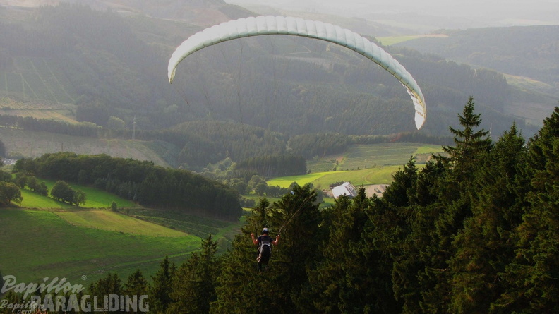 Sauerland 53