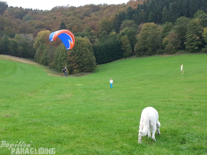 Sauerland 25