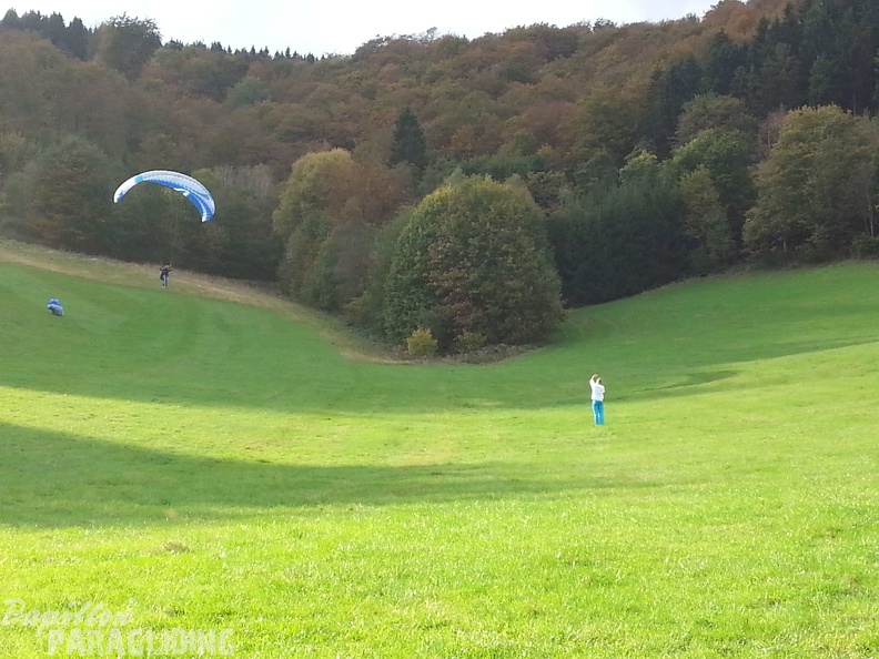 Sauerland 31