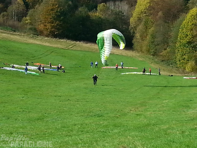 Sauerland 17