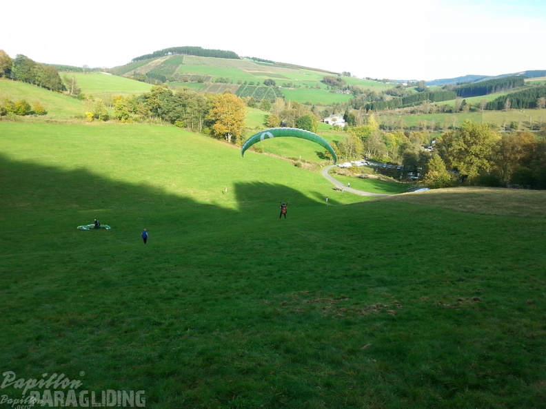 Sauerland 41