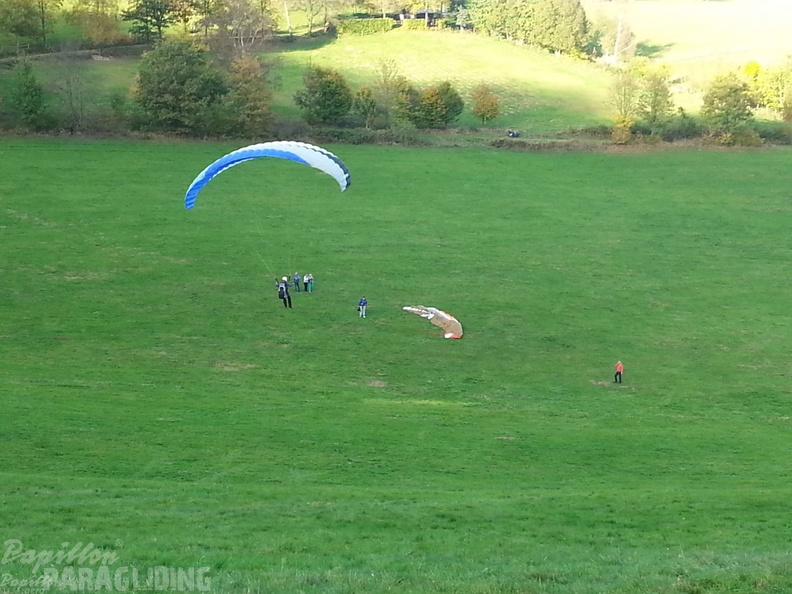 Sauerland 55
