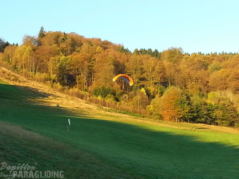 Sauerland 60