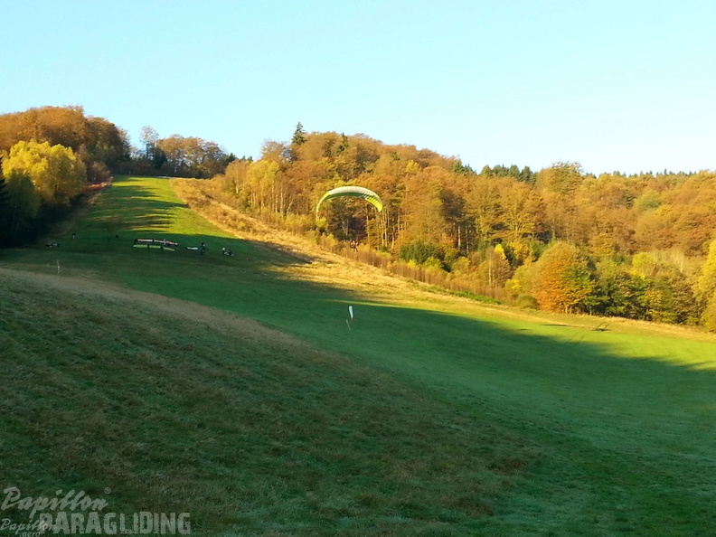 Sauerland 62