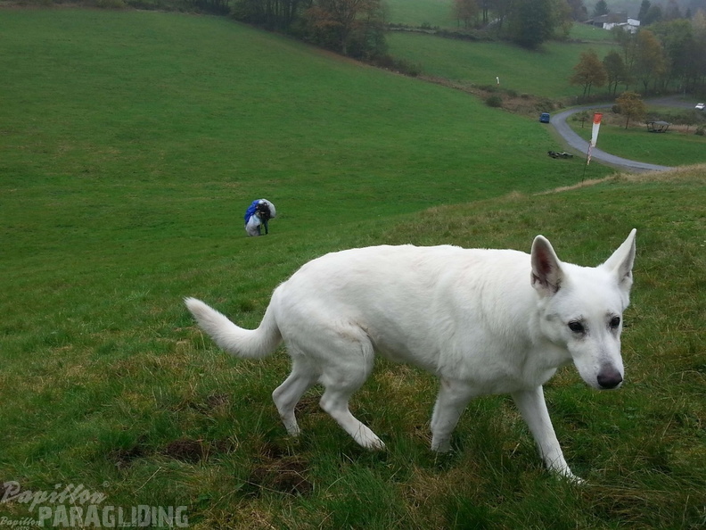 Sauerland 6