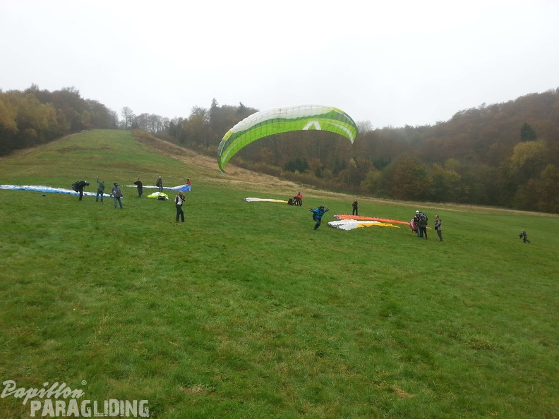Sauerland 8