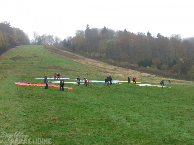 Sauerland 17