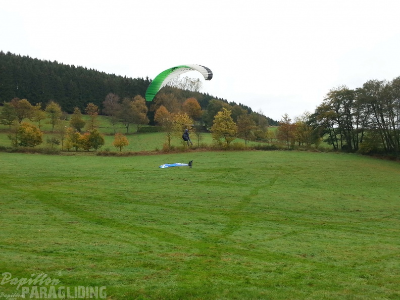 Sauerland 29