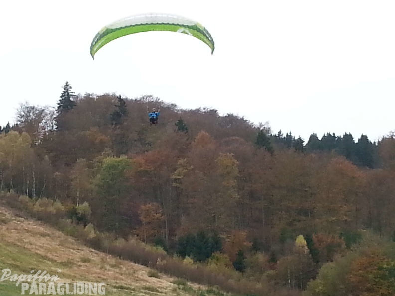 Sauerland 31
