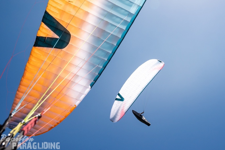 Skywalk-30-01-2021-Wilderness-miriamjoanna-06843