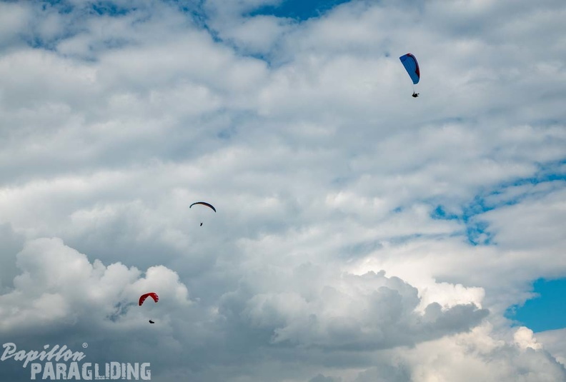 FWA22.21-Watles-Paragliding-219